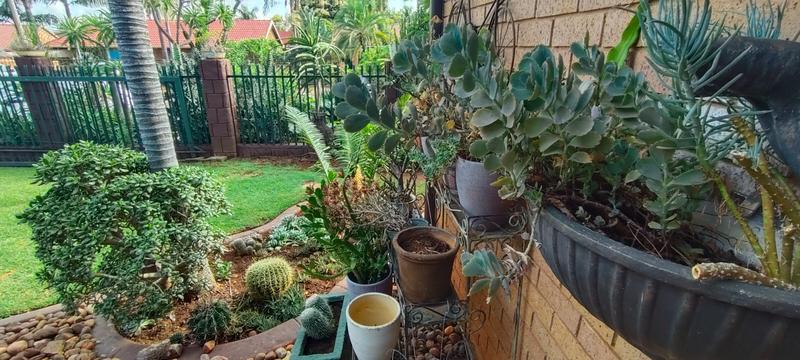 3 Bedroom Property for Sale in Florauna Gauteng