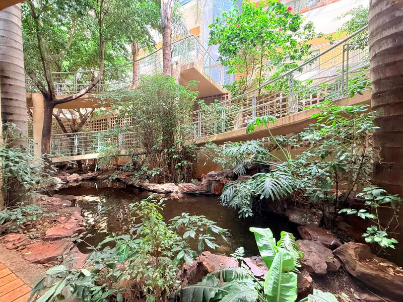 To Let 3 Bedroom Property for Rent in Morningside Gauteng