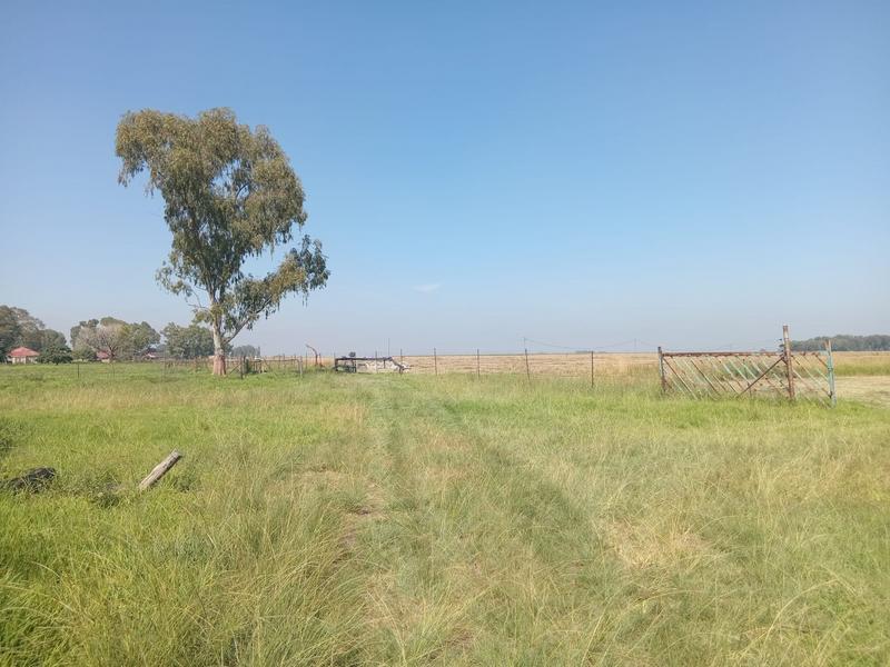 3 Bedroom Property for Sale in Schoongezicht Gauteng