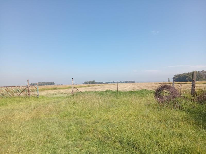 3 Bedroom Property for Sale in Schoongezicht Gauteng