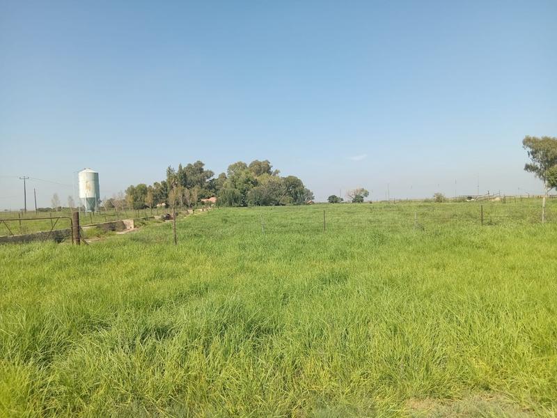 3 Bedroom Property for Sale in Schoongezicht Gauteng