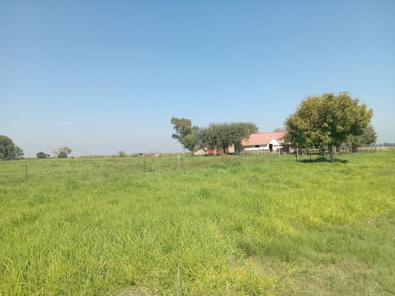 3 Bedroom Property for Sale in Schoongezicht Gauteng