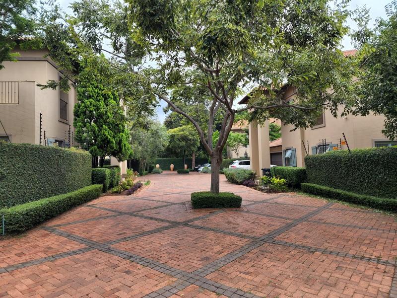 To Let 4 Bedroom Property for Rent in Muckleneuk Gauteng