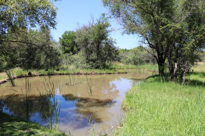 10 Bedroom Property for Sale in Dinokeng Game Reserve Gauteng