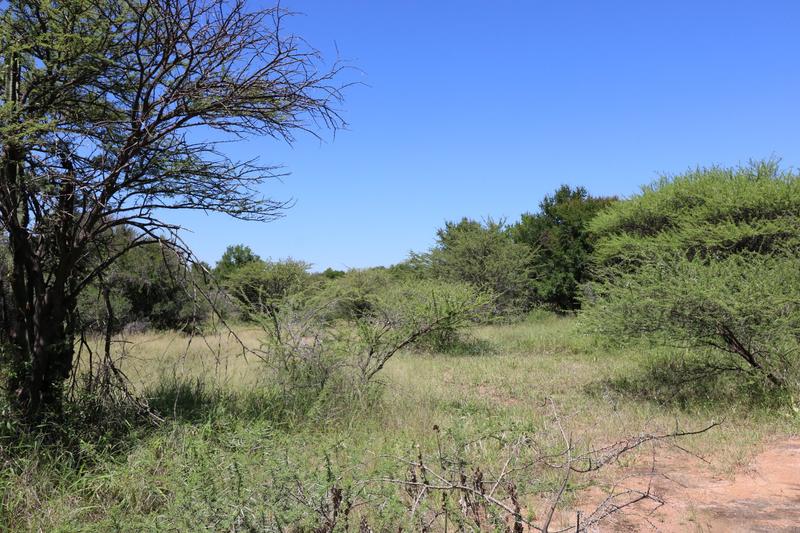 10 Bedroom Property for Sale in Dinokeng Game Reserve Gauteng