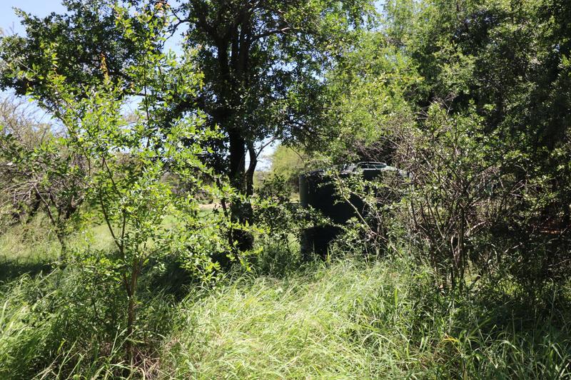 10 Bedroom Property for Sale in Dinokeng Game Reserve Gauteng