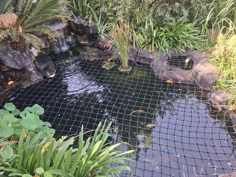 6 Bedroom Property for Sale in Winchester Hills Gauteng