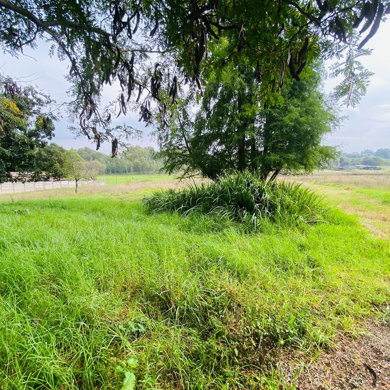 3 Bedroom Property for Sale in Benoni Gauteng