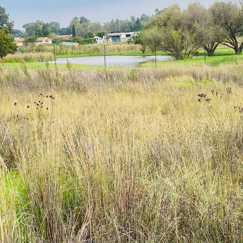3 Bedroom Property for Sale in Benoni Gauteng