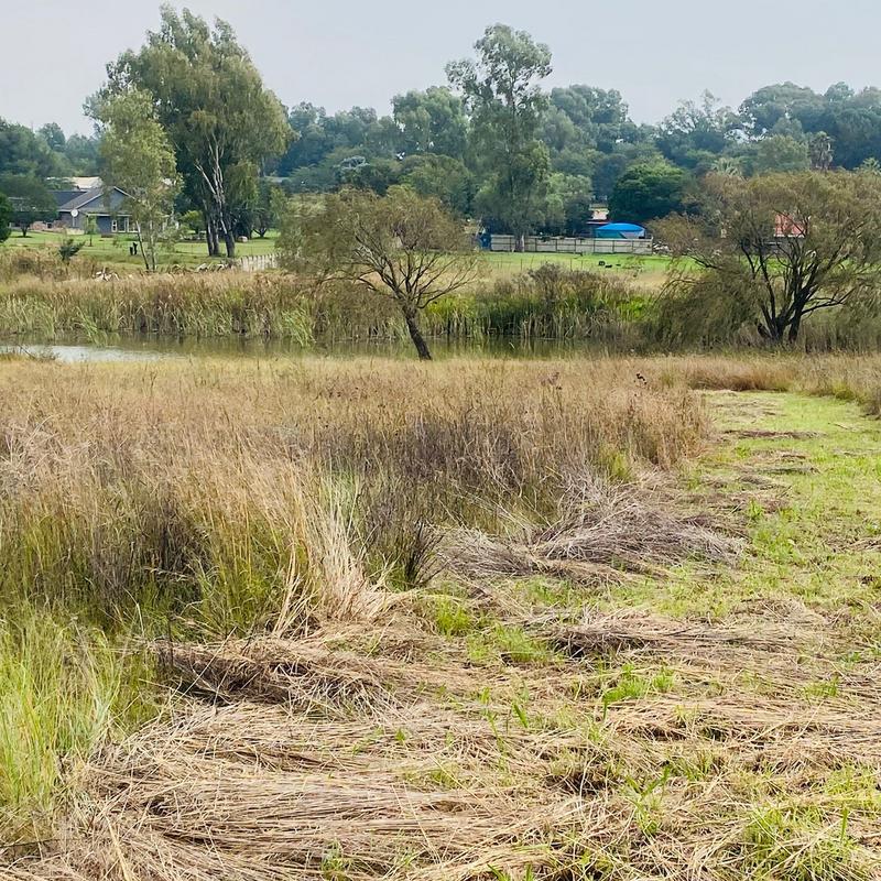 3 Bedroom Property for Sale in Benoni Gauteng