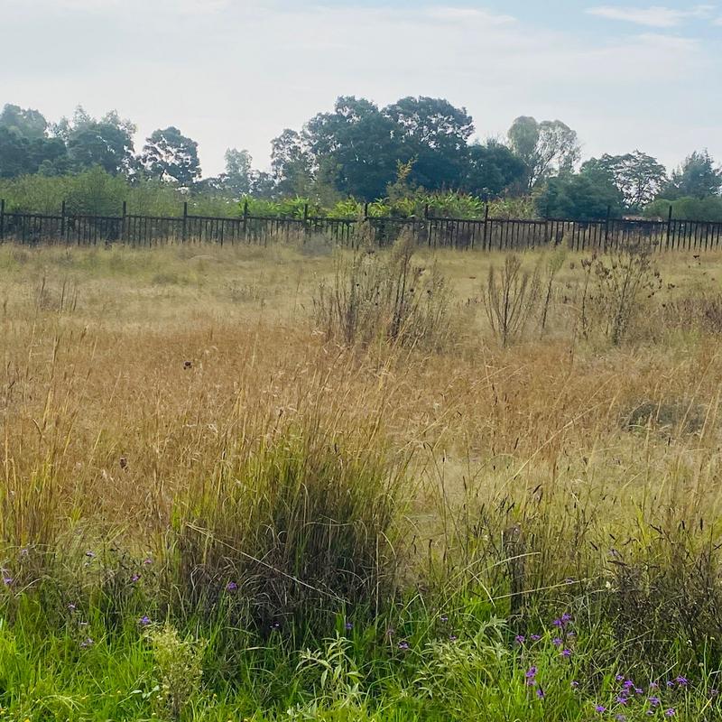 3 Bedroom Property for Sale in Benoni Gauteng