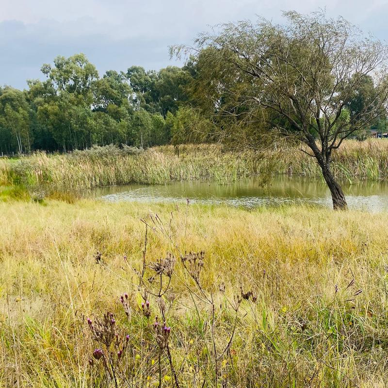 3 Bedroom Property for Sale in Benoni Gauteng