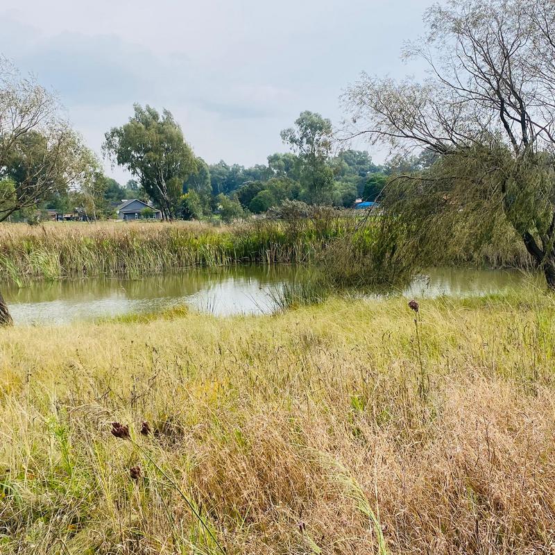 3 Bedroom Property for Sale in Benoni Gauteng