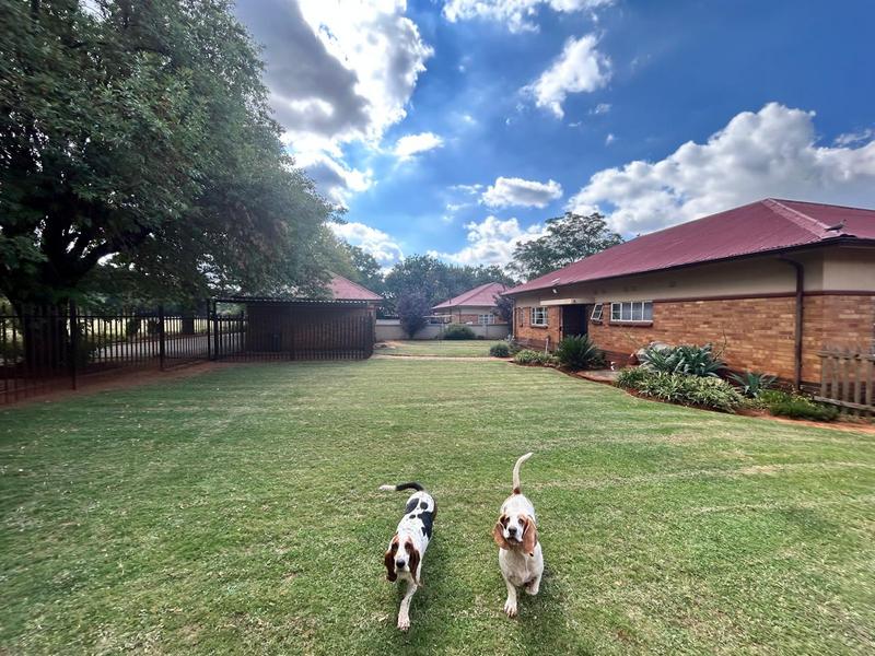 10 Bedroom Property for Sale in Springs Gauteng