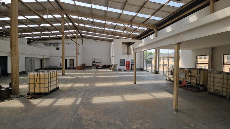 To Let Commercial Property for Rent in Randjespark Gauteng