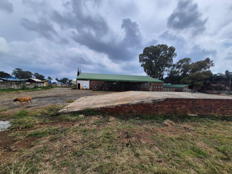 To Let Commercial Property for Rent in Pomona Gauteng