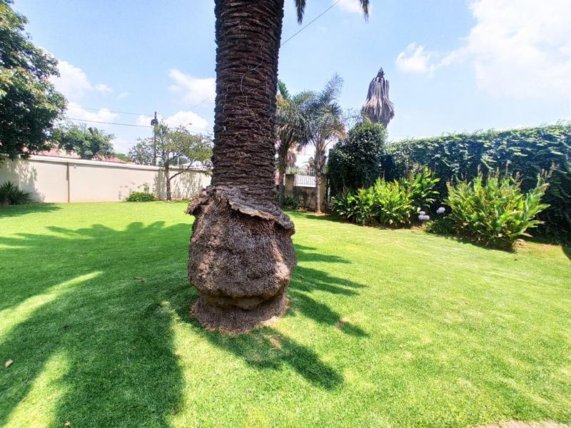 To Let 3 Bedroom Property for Rent in Primrose Gauteng
