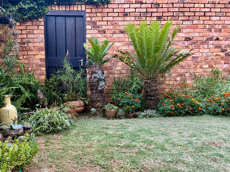 To Let 1 Bedroom Property for Rent in Glen Marais Gauteng