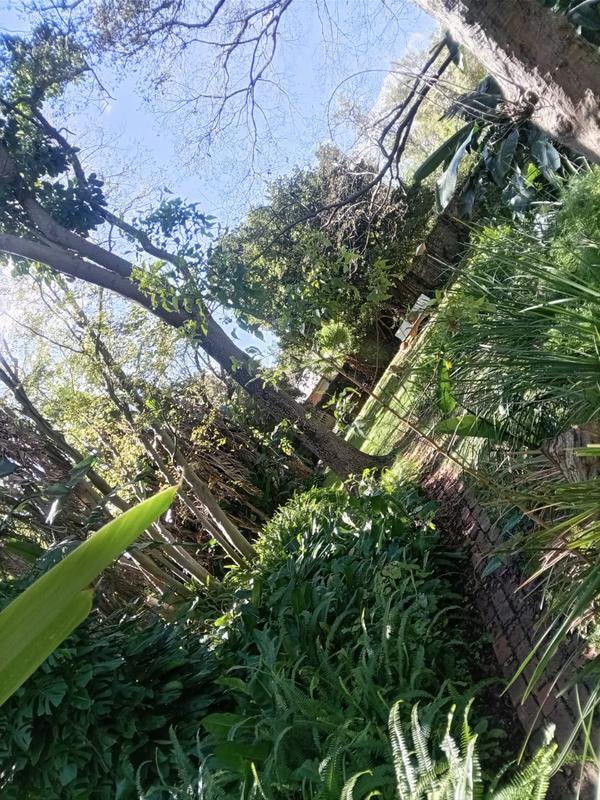 4 Bedroom Property for Sale in Bon Accord Gauteng