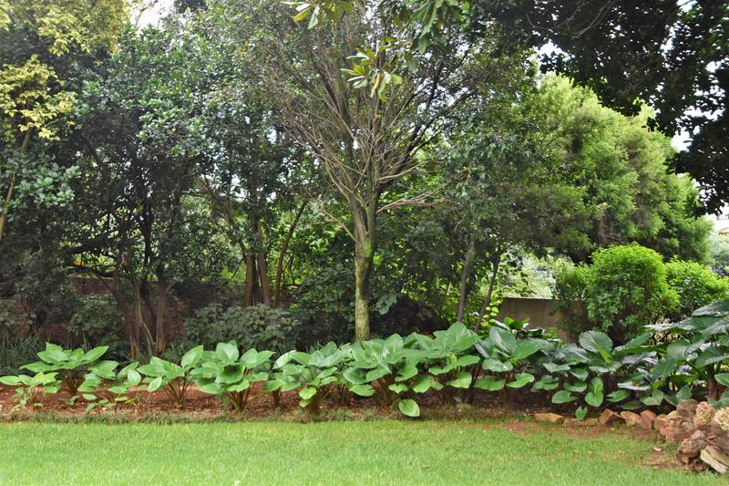 To Let 2 Bedroom Property for Rent in Hyde Park Gauteng