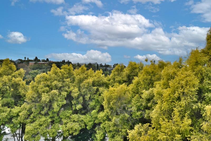 4 Bedroom Property for Sale in Constantia Kloof Gauteng