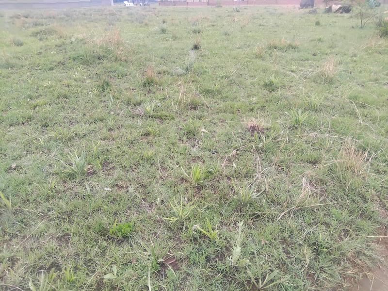 0 Bedroom Property for Sale in Austinview Gauteng