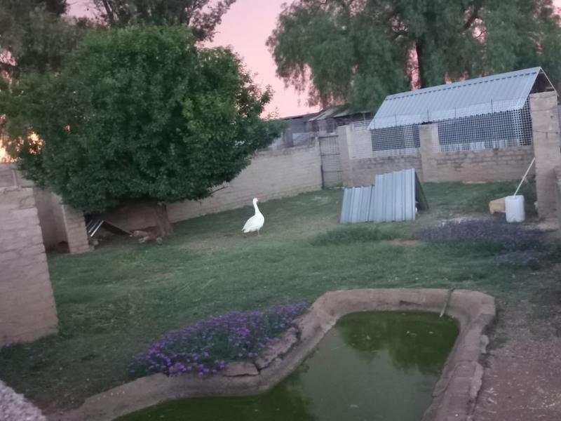 5 Bedroom Property for Sale in Helderstrome AH Gauteng