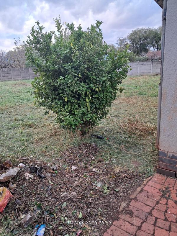 3 Bedroom Property for Sale in Lilianton Gauteng