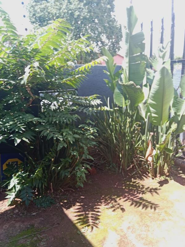 1 Bedroom Property for Sale in Vrededorp Gauteng