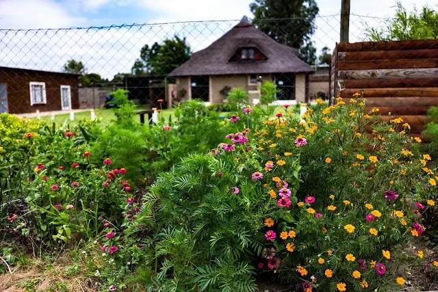 12 Bedroom Property for Sale in Mnandi Gauteng