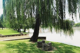 0 Bedroom Property for Sale in Vanderbijlpark SE 4 Gauteng