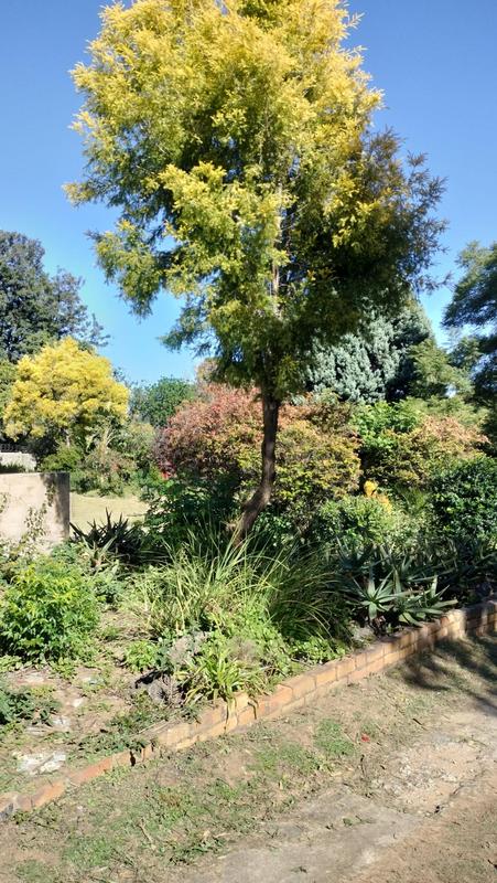 6 Bedroom Property for Sale in Ferndale Gauteng