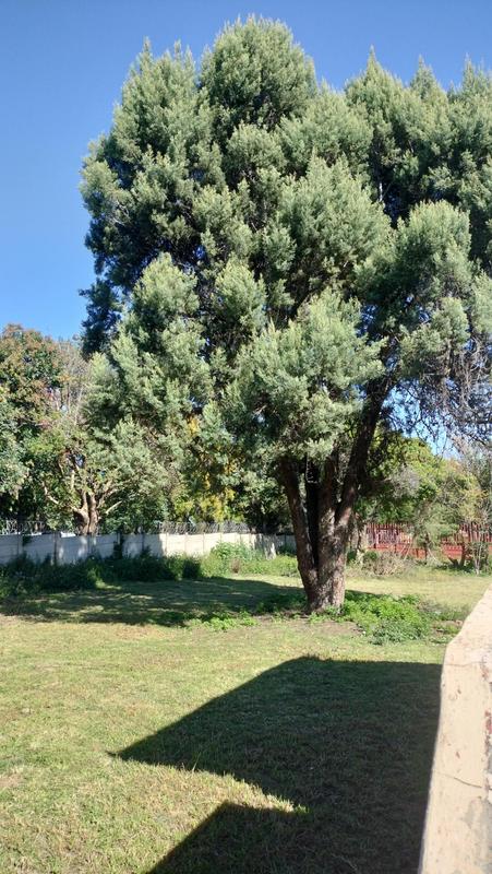 6 Bedroom Property for Sale in Ferndale Gauteng