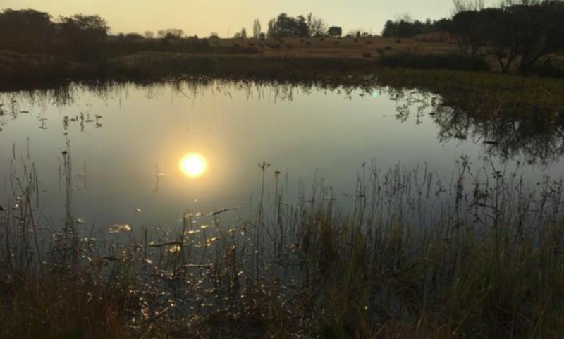 3 Bedroom Property for Sale in Zonnehoewe A H Gauteng