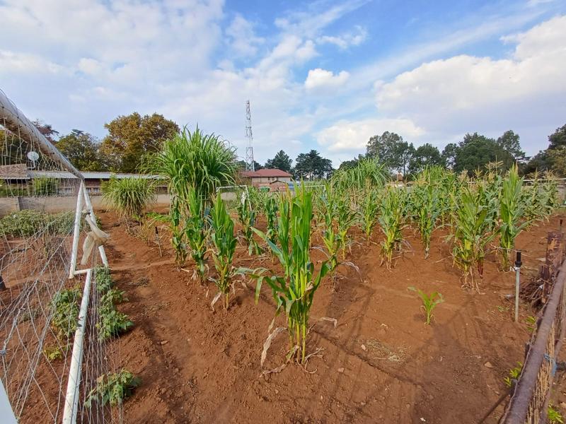 5 Bedroom Property for Sale in Unitas Park Gauteng