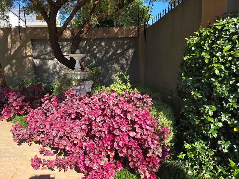 To Let 4 Bedroom Property for Rent in Waterkloof Heights Gauteng