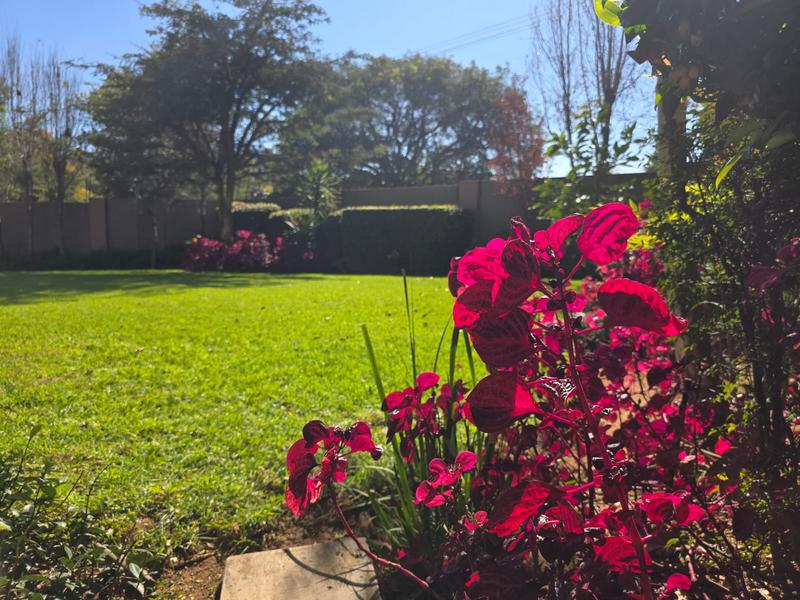 To Let 4 Bedroom Property for Rent in Waterkloof Heights Gauteng