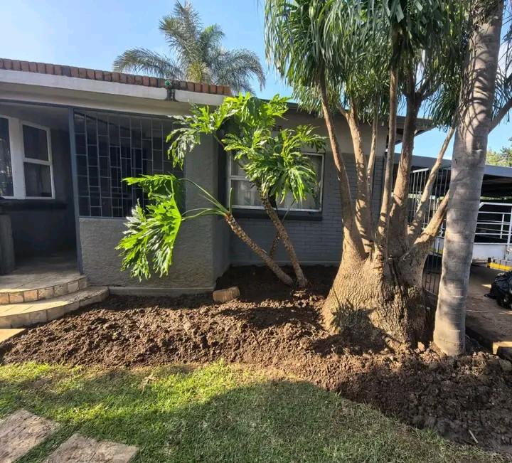 To Let 3 Bedroom Property for Rent in Dunnottar Gauteng