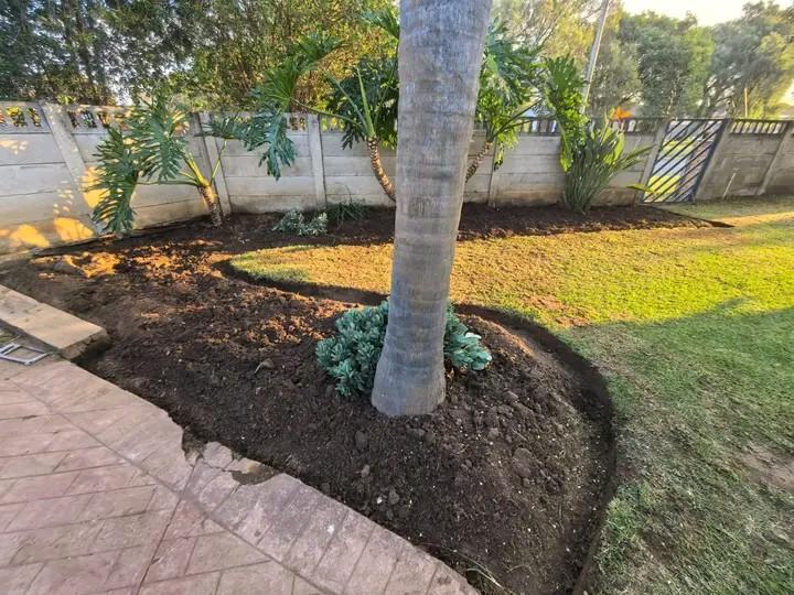 To Let 3 Bedroom Property for Rent in Dunnottar Gauteng