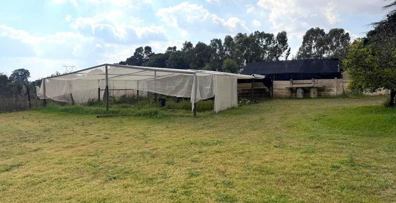 To Let 4 Bedroom Property for Rent in Brandvlei A H Gauteng