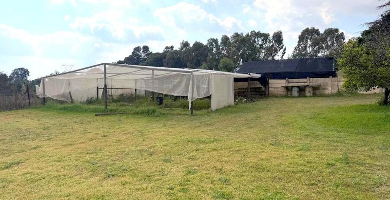 To Let 4 Bedroom Property for Rent in Brandvlei A H Gauteng