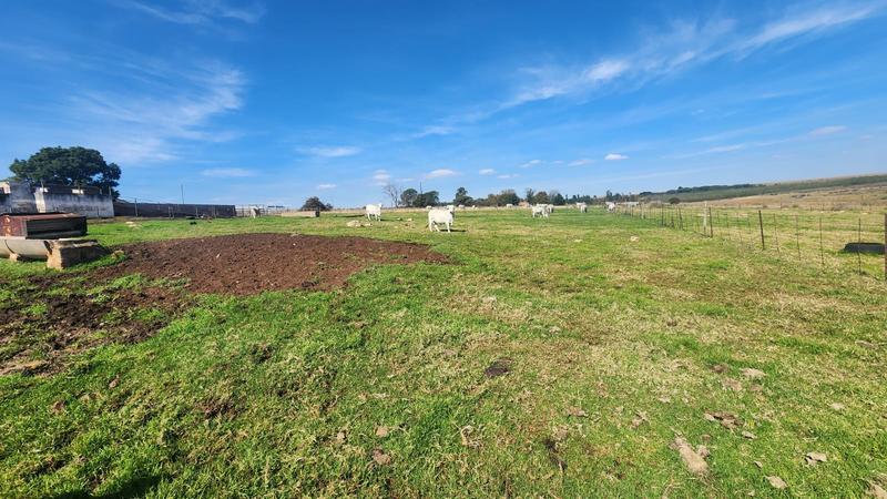 0 Bedroom Property for Sale in Witfontein Gauteng