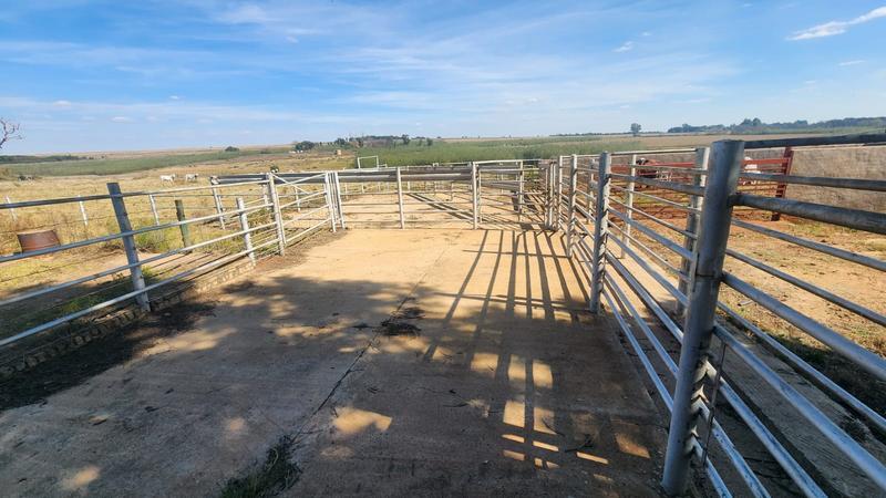 0 Bedroom Property for Sale in Witfontein Gauteng