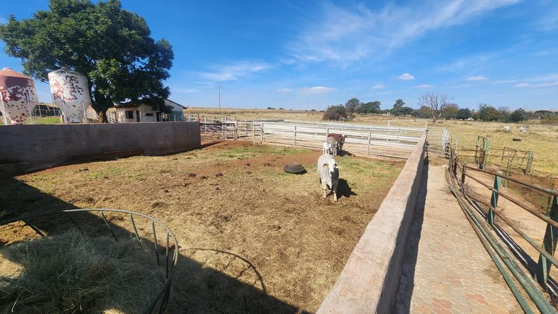 0 Bedroom Property for Sale in Witfontein Gauteng