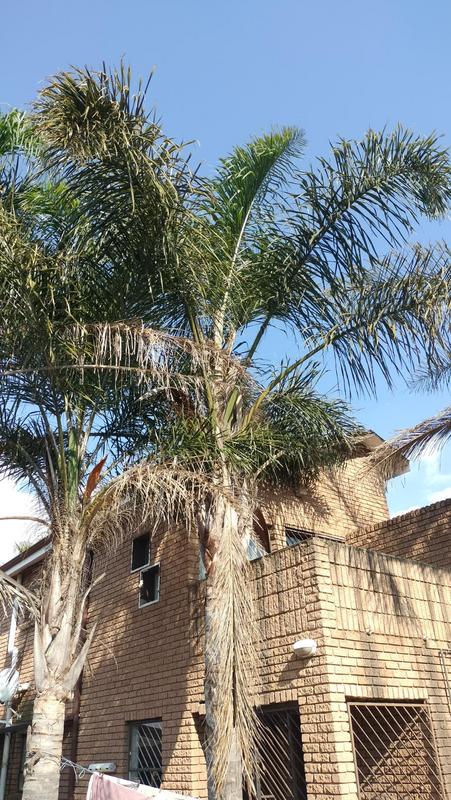 5 Bedroom Property for Sale in Crosby Gauteng
