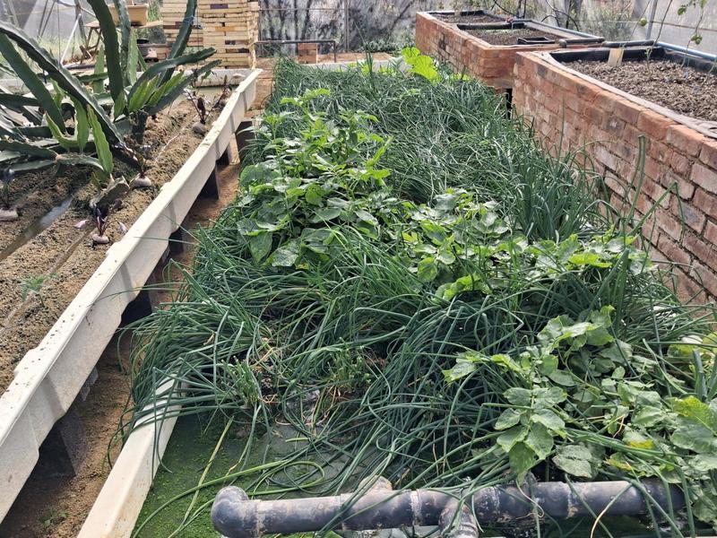 3 Bedroom Property for Sale in Lanseria Gauteng