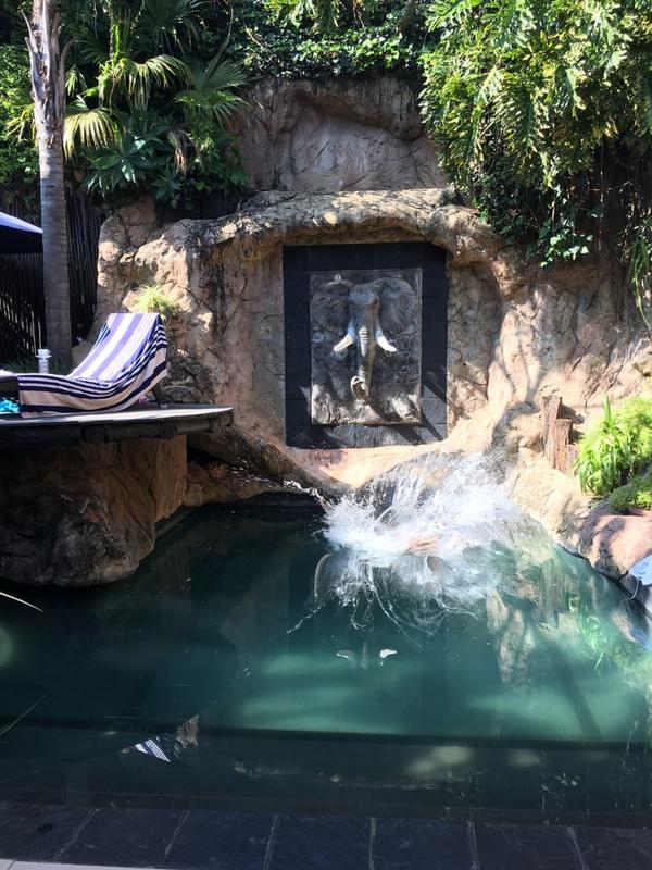 To Let 5 Bedroom Property for Rent in Houghton Gauteng