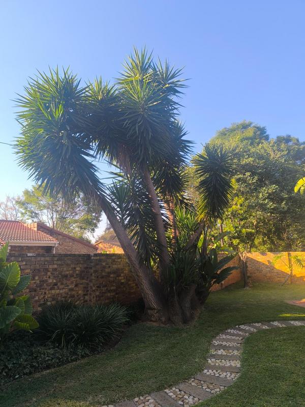 3 Bedroom Property for Sale in Garsfontein Gauteng