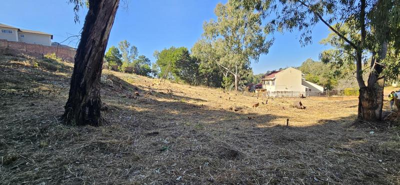 0 Bedroom Property for Sale in Waterkloof Heights Gauteng