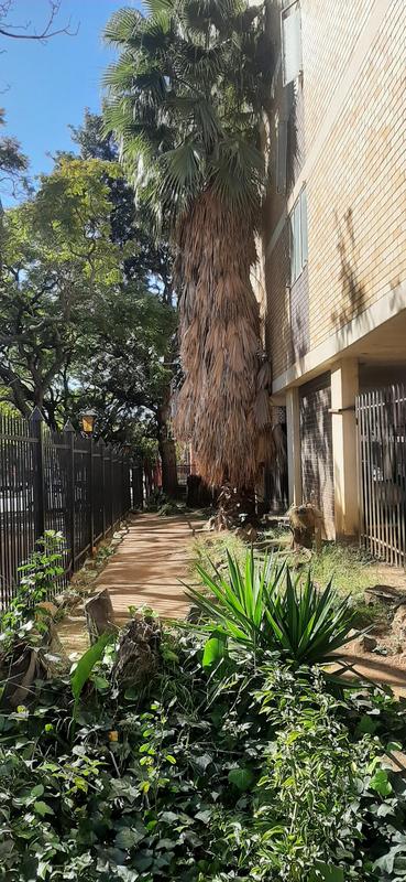 3 Bedroom Property for Sale in Sunnyside Gauteng